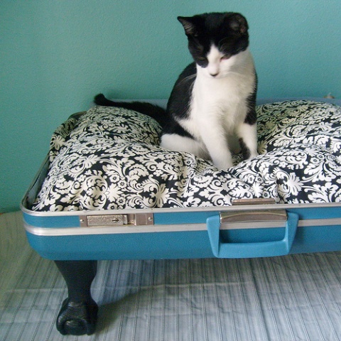 Королевская кровать для кошки